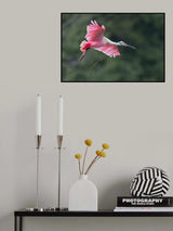 Happyly returns to home. Poster och Canvastavla