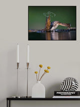 Show off Poster och Canvastavla