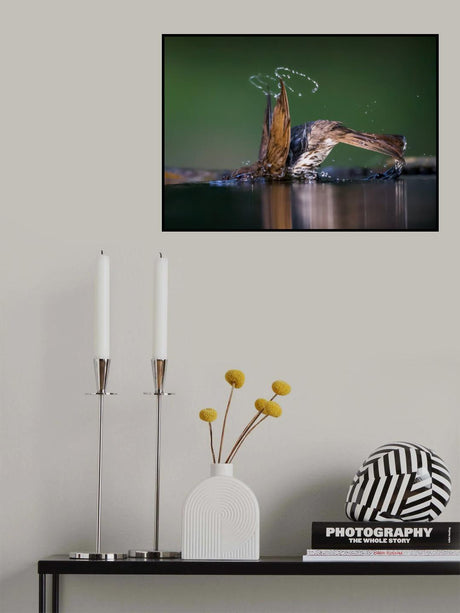 Show off Poster och Canvastavla