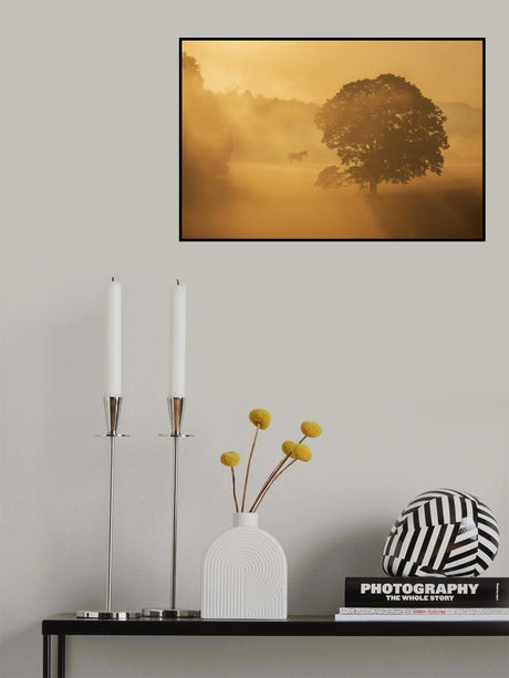 autumn morning Poster och Canvastavla