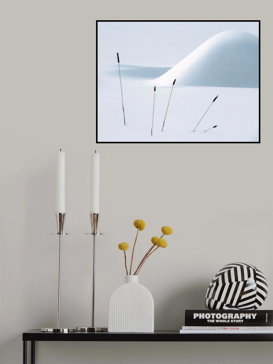 Still life in Winter Poster och Canvastavla