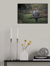 Studying Poster och Canvastavla