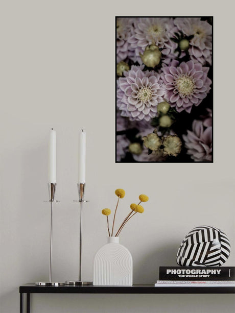 Lilium Poster och Canvastavla