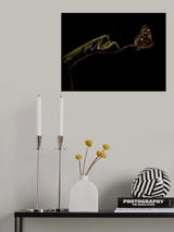 The escapist Poster och Canvastavla