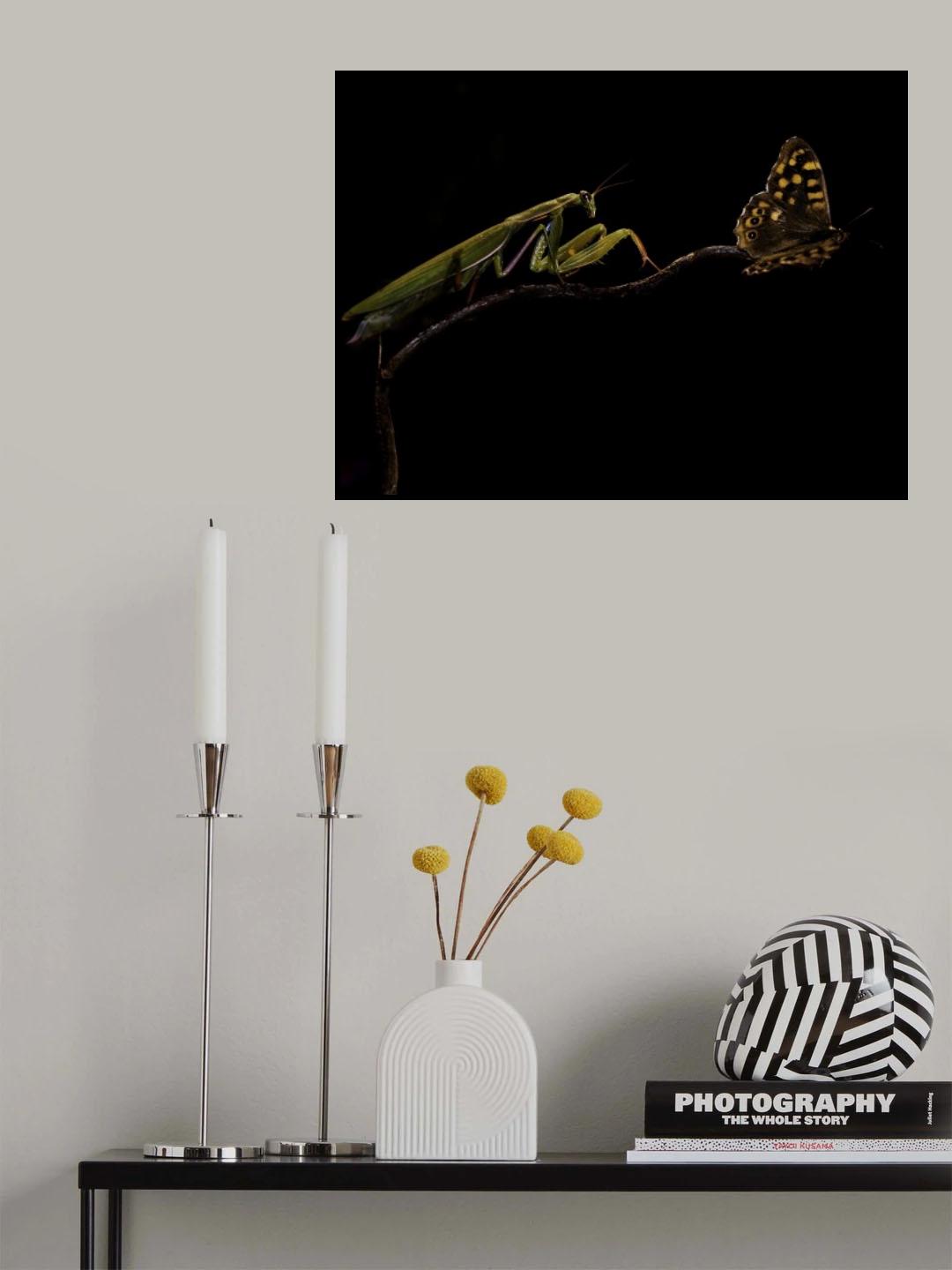 The escapist Poster och Canvastavla