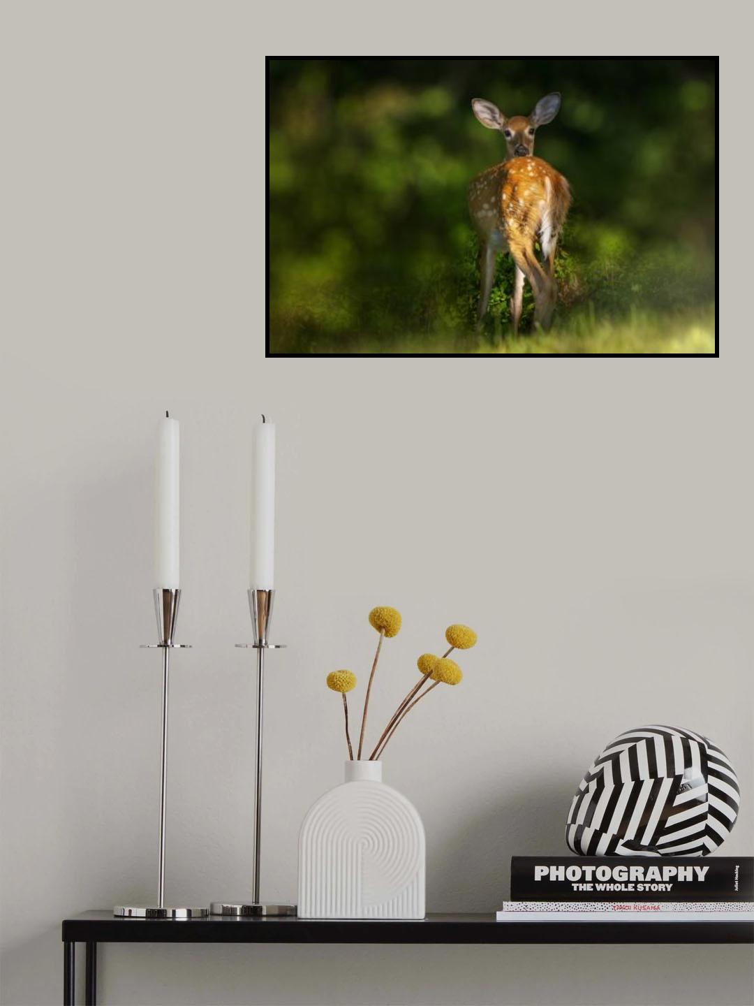 Look Back Poster och Canvastavla