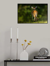 Look Back Poster och Canvastavla