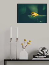 Yellow Tree Frog Poster och Canvastavla