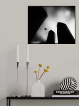 The Lost Bird-Homage for André Kertész Poster och Canvastavla