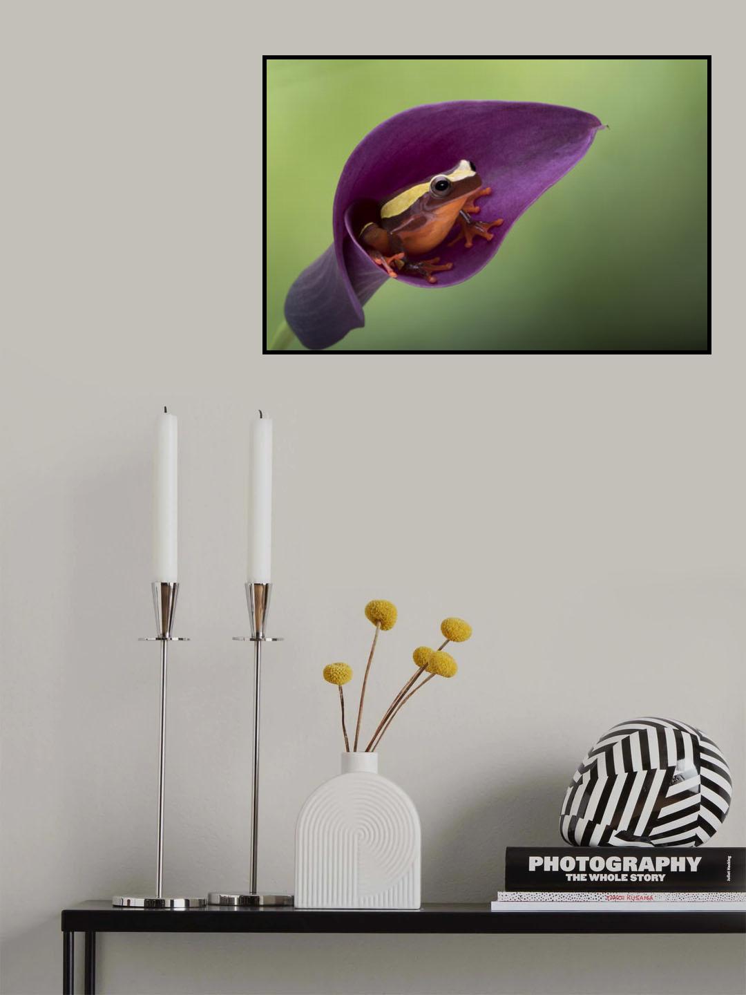 Frog Cubby House Poster och Canvastavla
