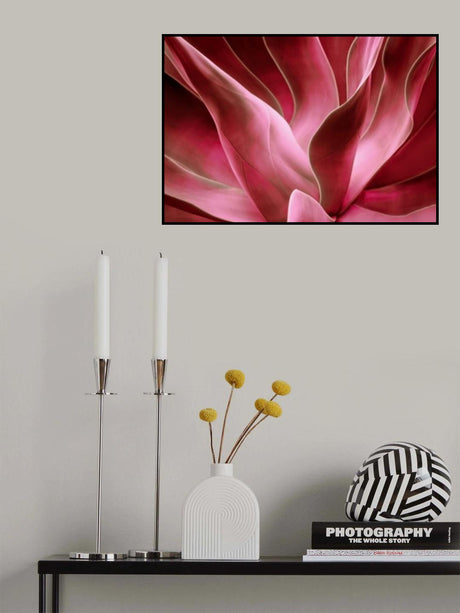 Agave Abstract in Autumn 2023 Poster och Canvastavla