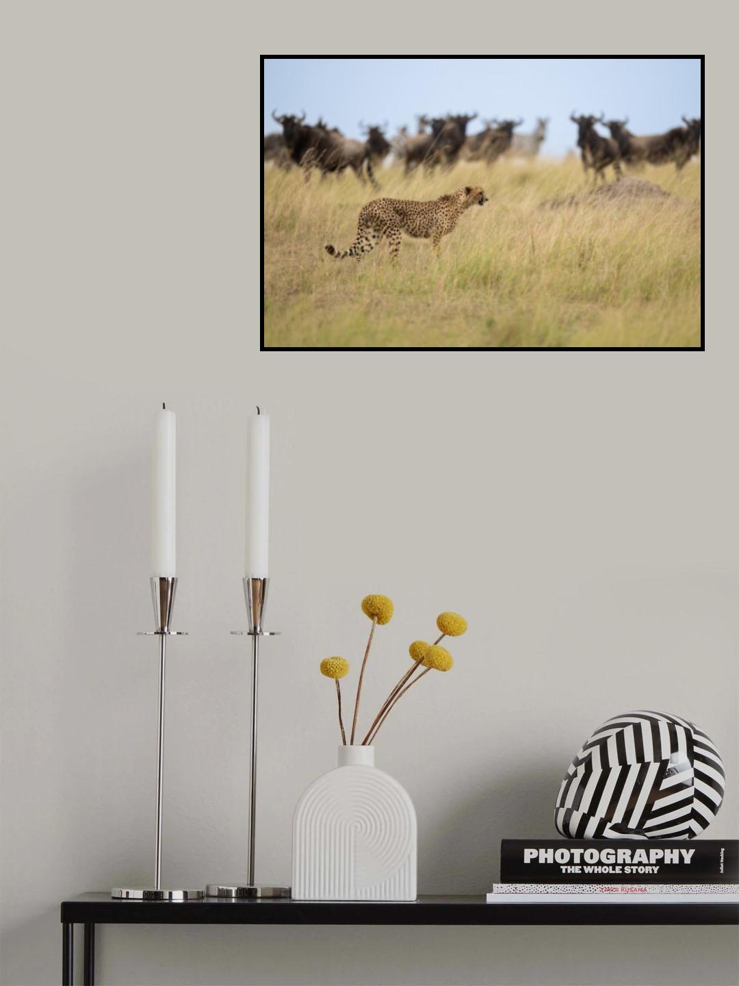 Ignoring the Wildebeest Poster och Canvastavla