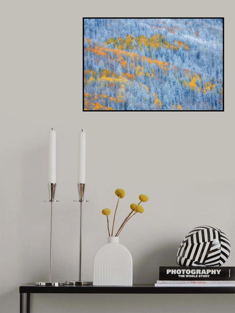 Transition of Seasons Poster och Canvastavla