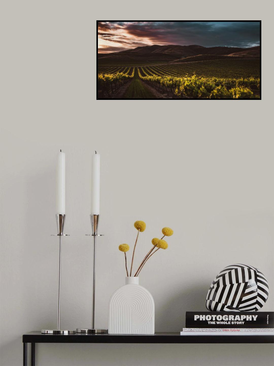 Vineyards Poster och Canvastavla
