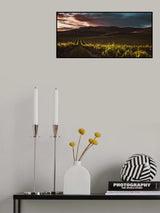 Vineyards Poster och Canvastavla
