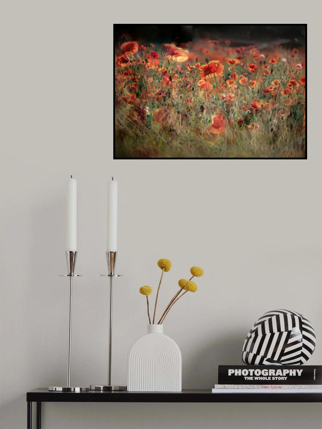 poppies in daylight Poster och Canvastavla