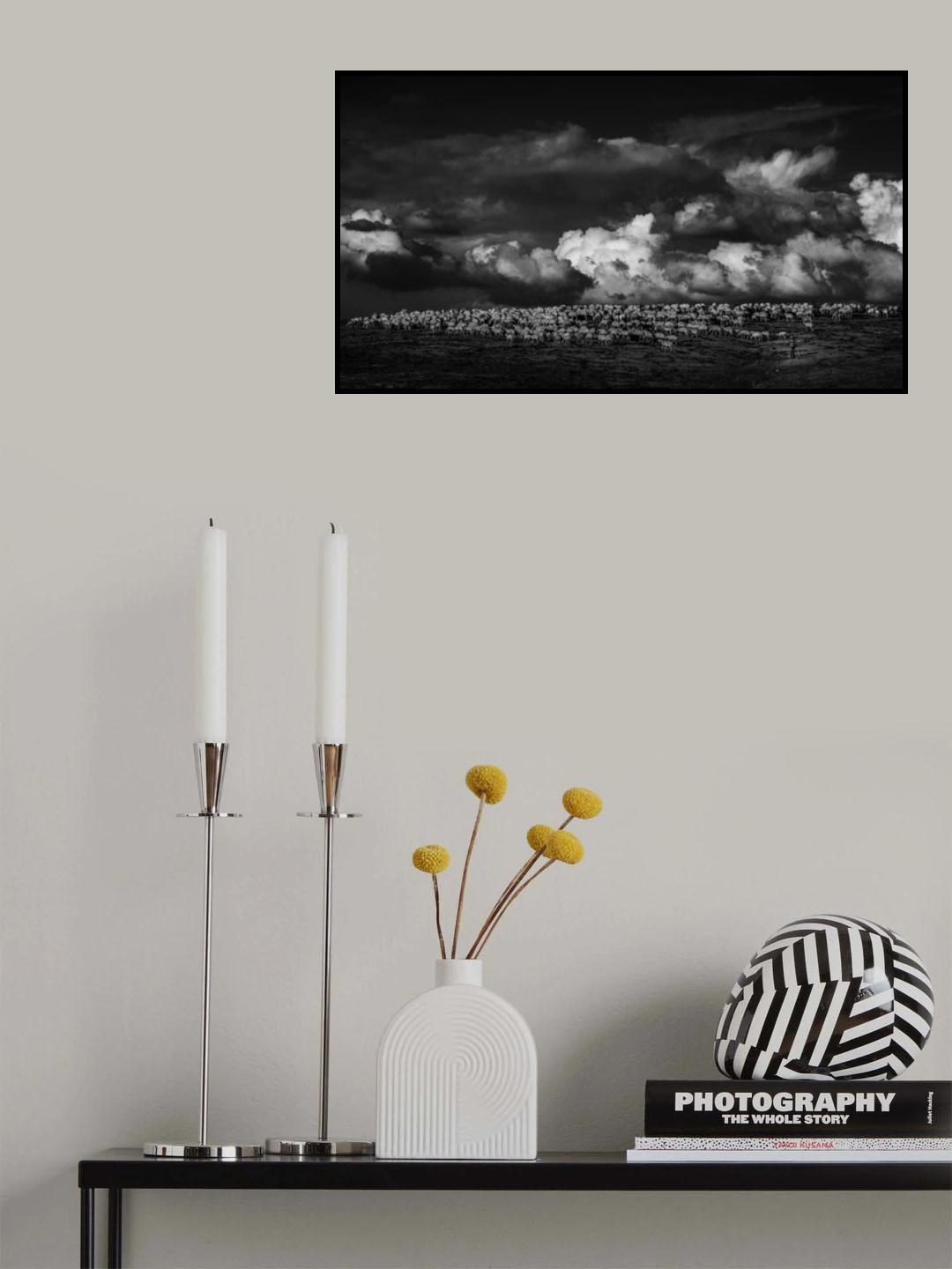 HERD Poster och Canvastavla