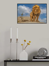 The Lion King Poster och Canvastavla
