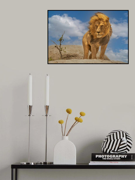 The Lion King Poster och Canvastavla
