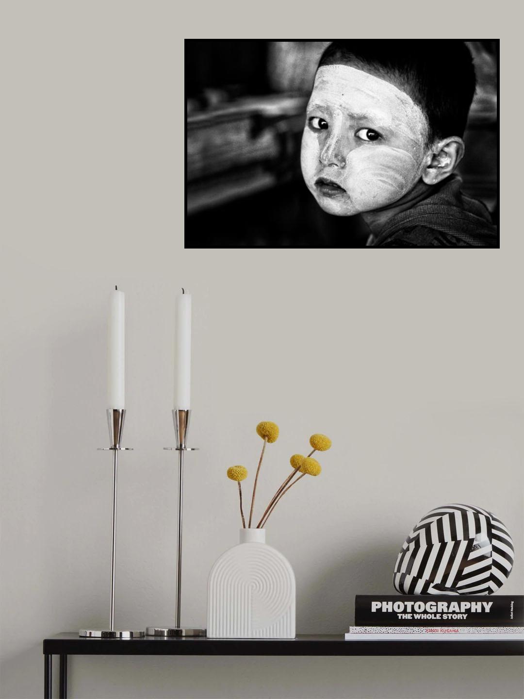 Stare stare like a bear Poster och Canvastavla