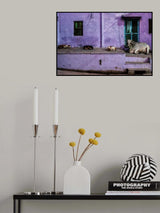 animals in the streets Poster och Canvastavla