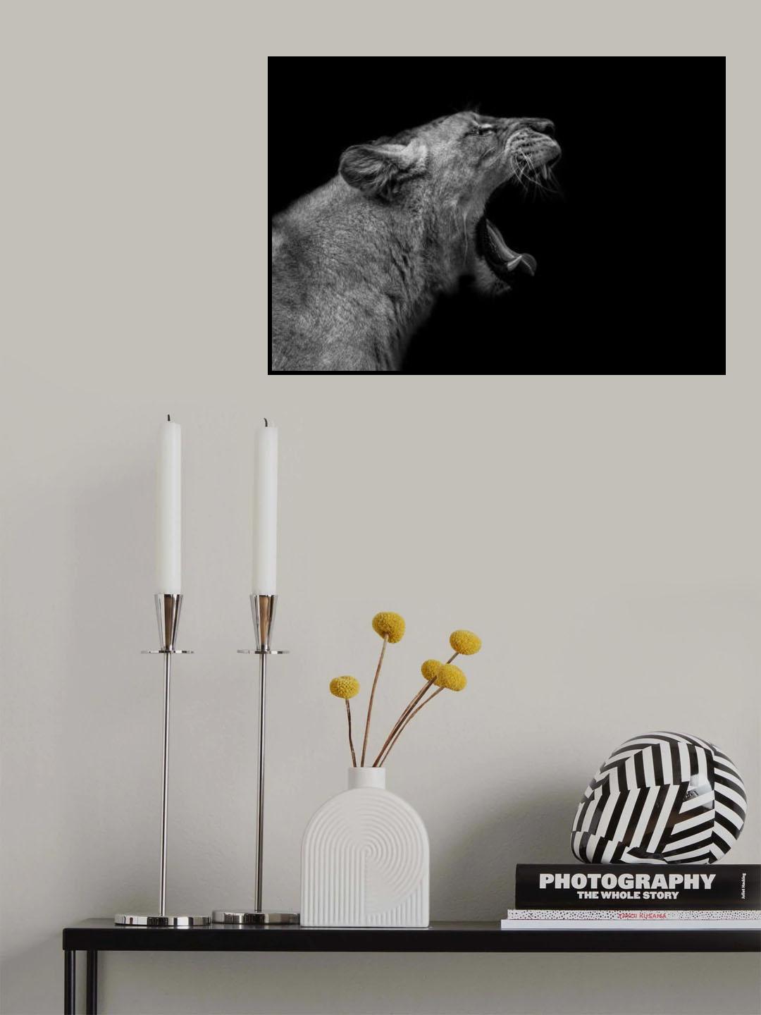 Lioness in low key Poster och Canvastavla