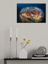Reefscape of Tachai Pinnacle Poster och Canvastavla