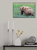 Protect me Poster och Canvastavla
