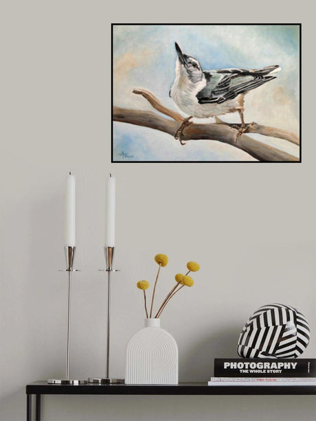Tuning In   White Breasted Nuthatch Poster och Canvastavla