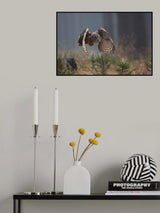 Eurasian Eagle-Owl Poster och Canvastavla