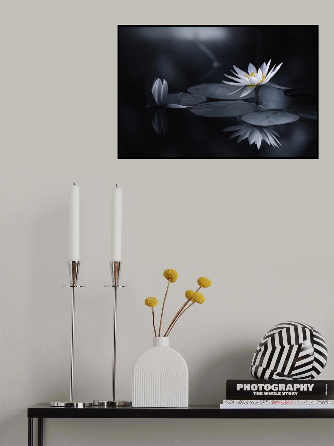 Reflection Poster och Canvastavla