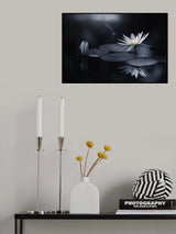 Reflection Poster och Canvastavla
