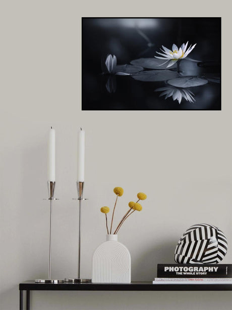 Reflection Poster och Canvastavla