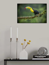 I Love a Rainy Day Poster och Canvastavla