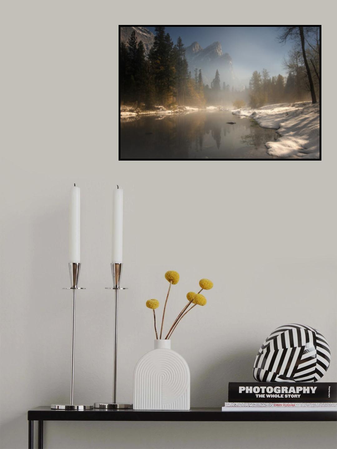 Fall color in moonnight Poster och Canvastavla