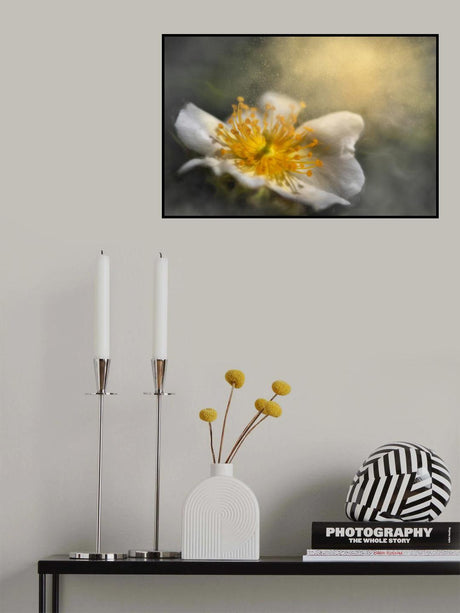 Dreaming Poster och Canvastavla
