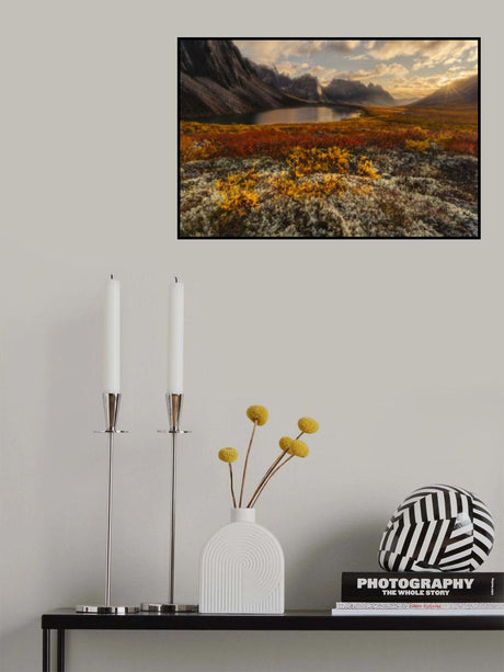 Poster och Canvastavla