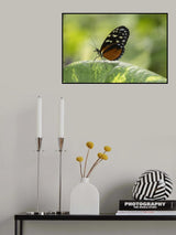 Perfect balance Poster och Canvastavla