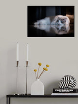 Blue Eyes Poster och Canvastavla