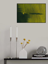 Lonely tree Poster och Canvastavla