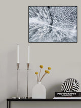 Winter Wonderland Poster och Canvastavla