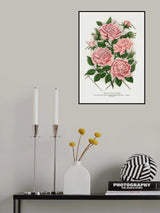 Pink Rose, Gem of the Prairie Lithograph Poster och Canvastavla