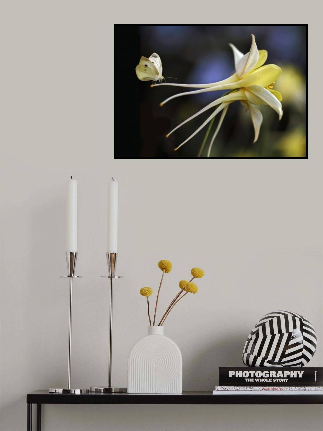 Akelei ... Poster och Canvastavla