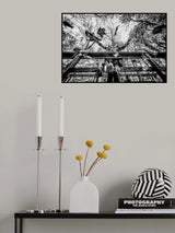Poster och Canvastavla