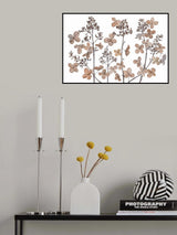 Hydrangea paniculata Poster och Canvastavla