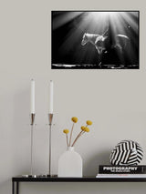 Peaceful rider Poster och Canvastavla