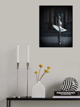 Ballerina Vintage II Poster och Canvastavla