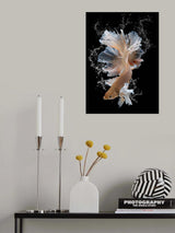 Splash Poster och Canvastavla