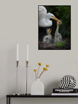 Mommy, we are hungry! Poster och Canvastavla