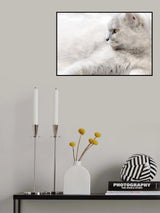 Straight Look of Memey Poster och Canvastavla